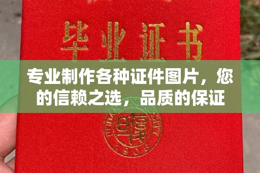 泗县专业制作各种证件图片，您的信赖之选，品质的保证