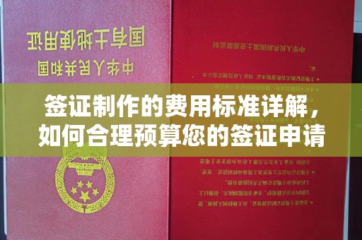 泗县签证制作的费用标准详解，如何合理预算您的签证申请成本