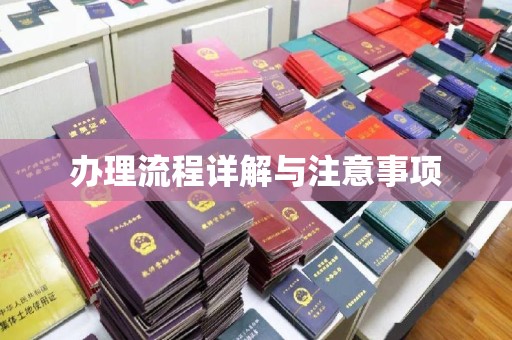 泗县办理流程详解与注意事项